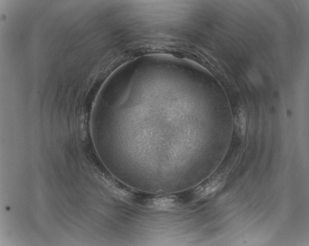 X0000068900462200605081350