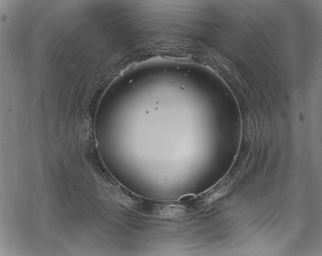 X0000068900463200605081350