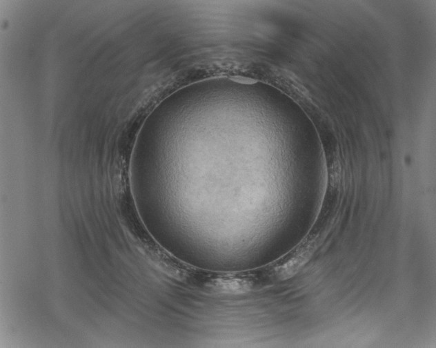 X0000068900464200605081350