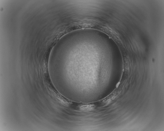 X0000068900465200605081350