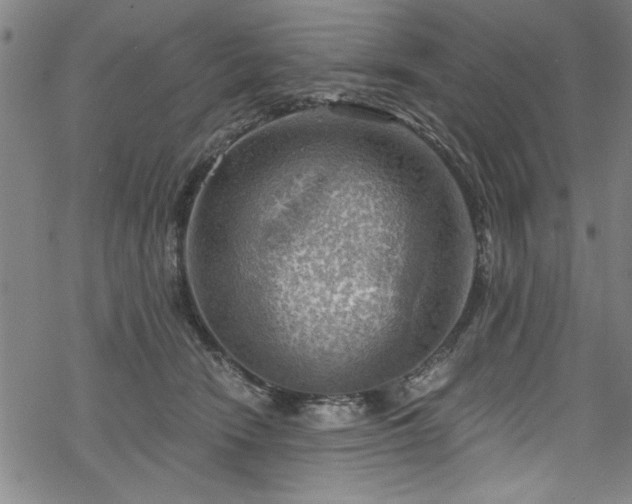 X0000068900466200605081350