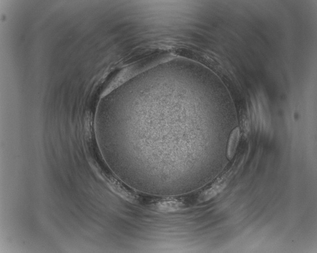 X0000068900468200605081350