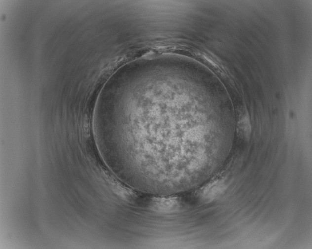 X0000068900469200605081350