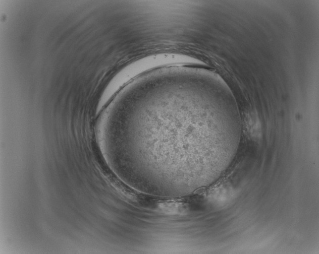 X0000068900470200605081350