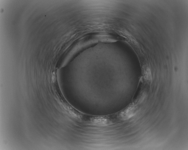 X0000068900471200605081350