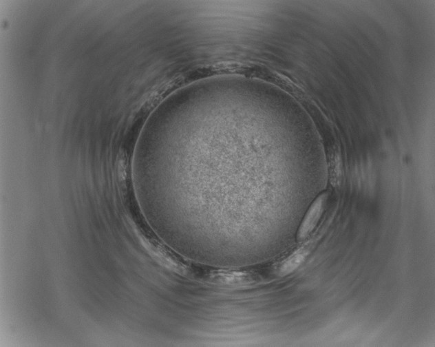 X0000068900472200605081350