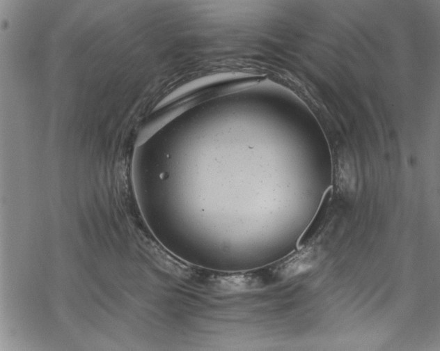 X0000068900473200605081350