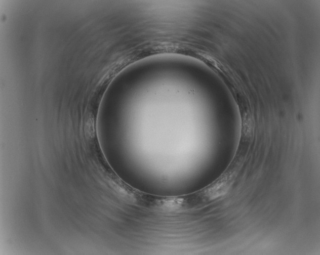 X0000068900474200605081350