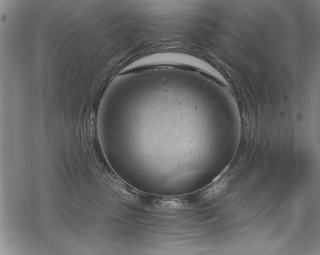 X0000068900475200605081350