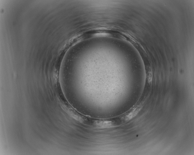 X0000068900476200605081350