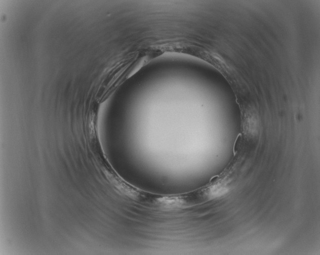 X0000068900477200605081350