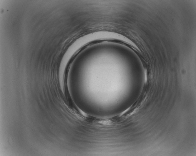 X0000068900478200605081350