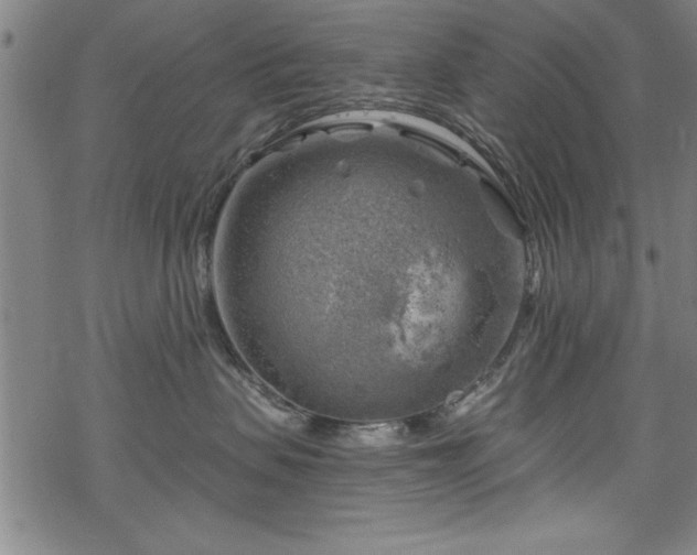 X0000068900479200605081350