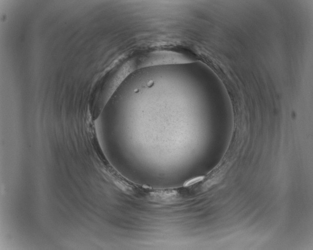 X0000068900480200605081350