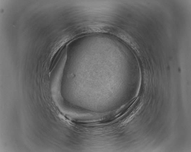 X0000068900481200605081349