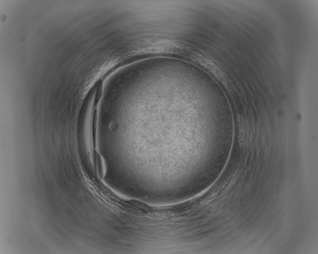 X0000068900482200605081349