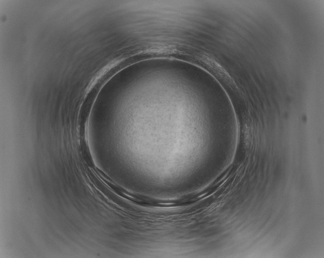 X0000068900484200605081349