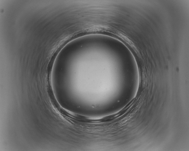 X0000068900485200605081349