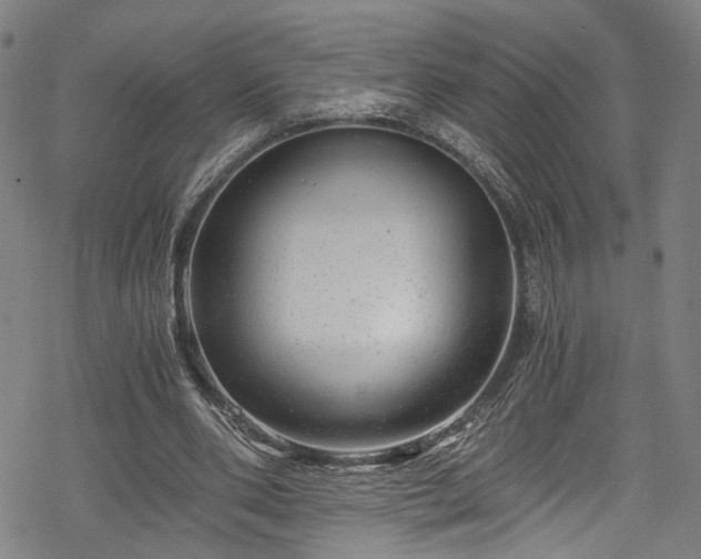 X0000068900486200605081349