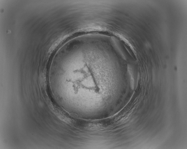 X0000068900487200605081349