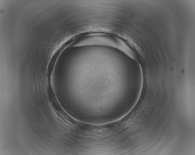 X0000068900488200605081349