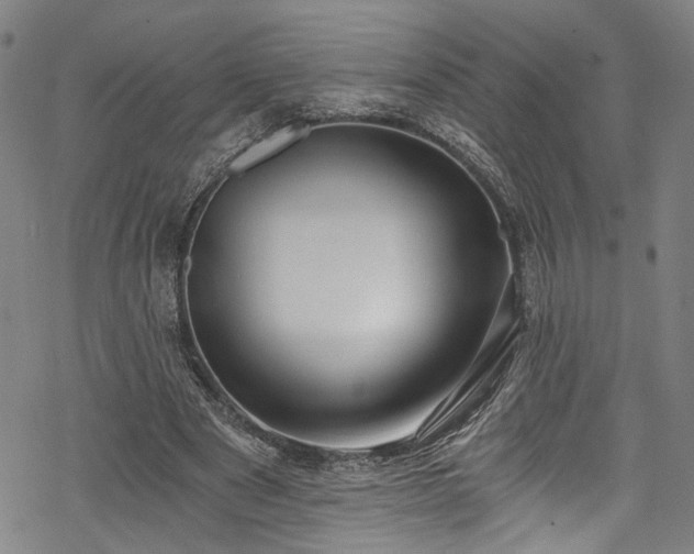 X0000068900489200605081349