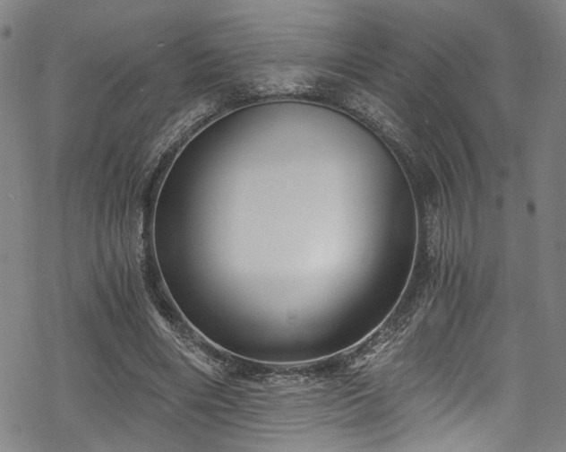 X0000068900490200605081349