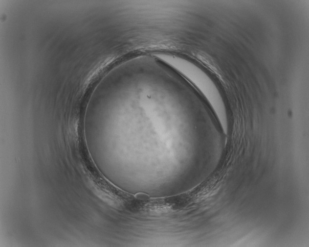 X0000068900491200605081349