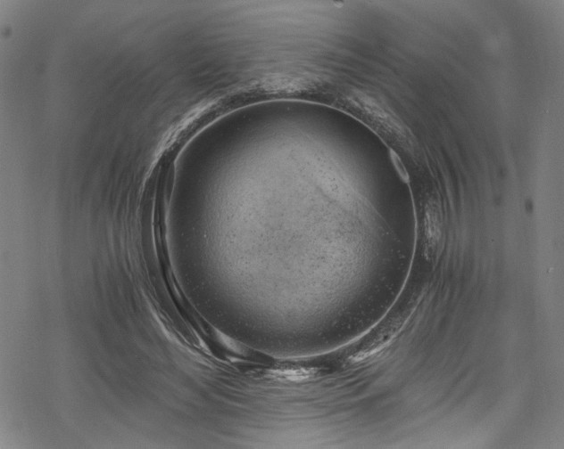 X0000068900492200605081349