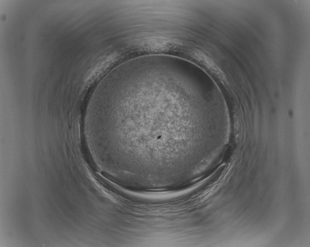 X0000068900493200605081349