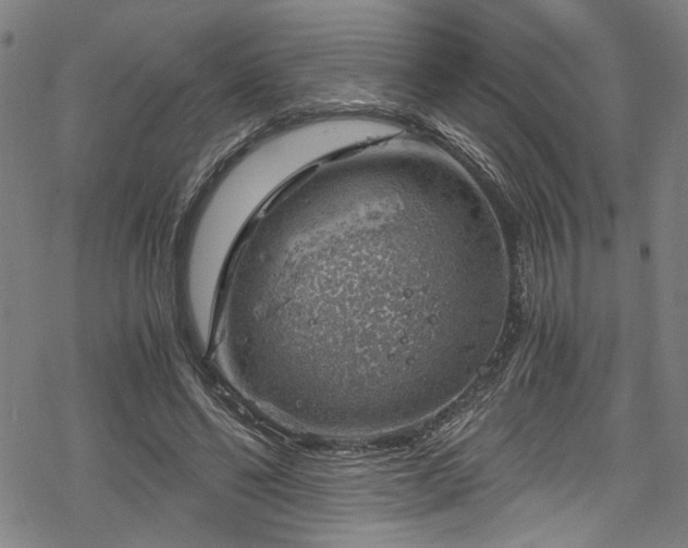 X0000068900494200605081349