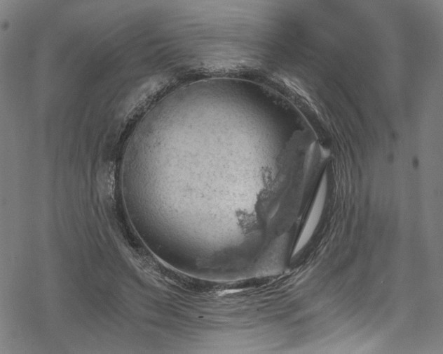 X0000068900495200605081349