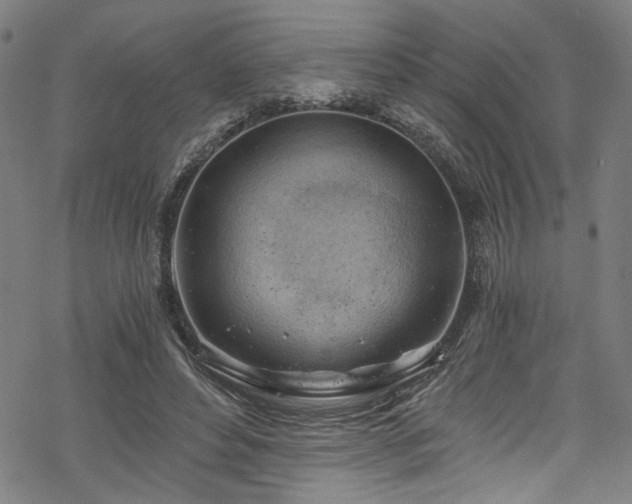 X0000068900496200605081349