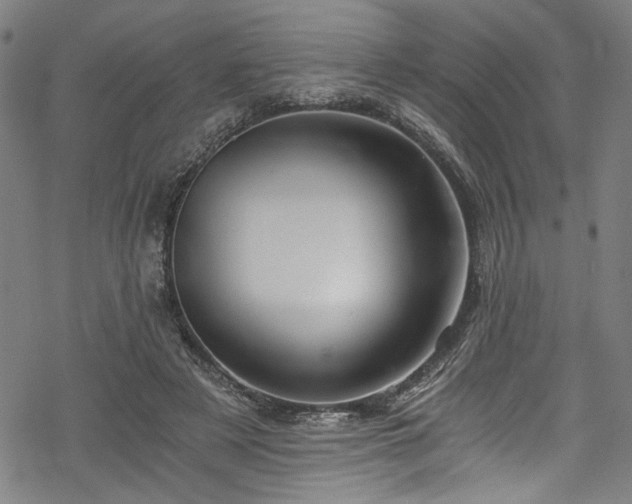 X0000068900497200605081349