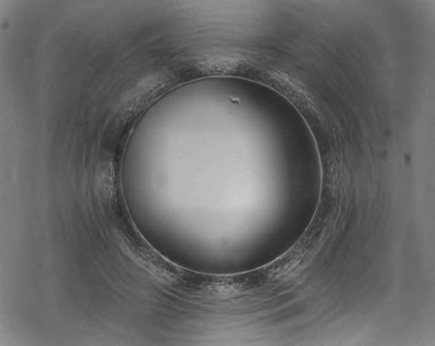 X0000068900498200605081349