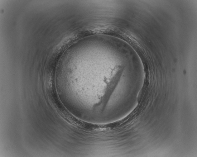 X0000068900499200605081349