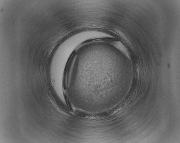 X0000068900500200605081349