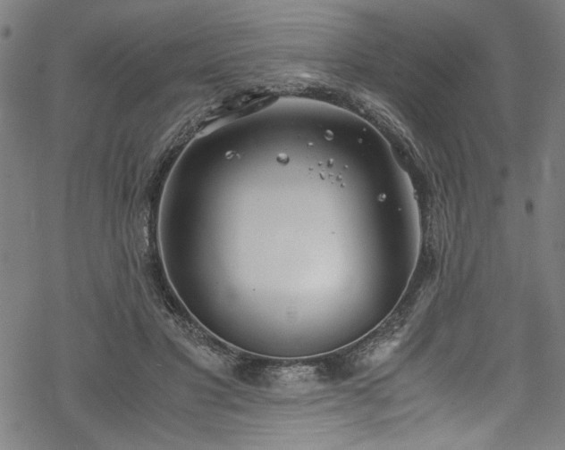 X0000068900501200605081349