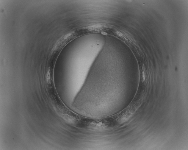 X0000068900502200605081349