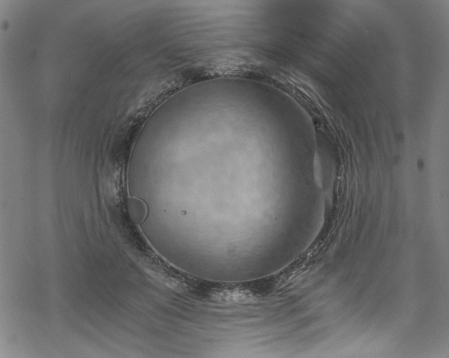 X0000068900503200605081349