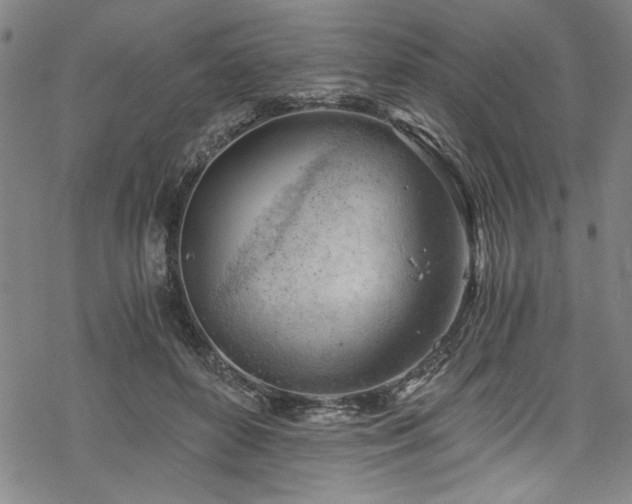 X0000068900504200605081349