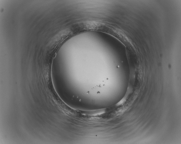 X0000068900505200605081349