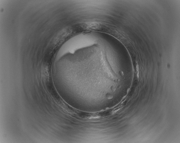 X0000068900506200605081349