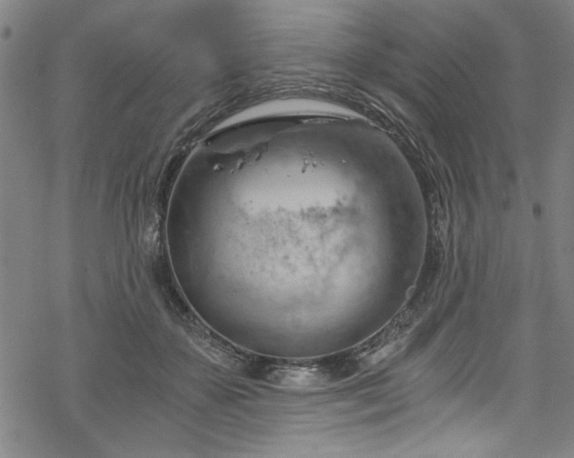 X0000068900507200605081349