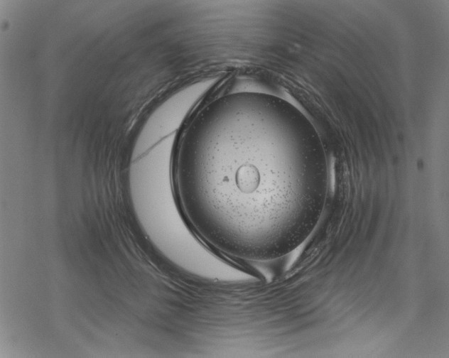 X0000068900508200605081349