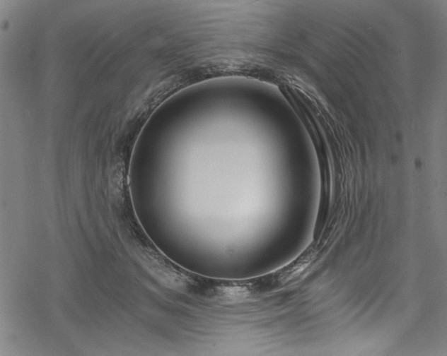 X0000068900509200605081349