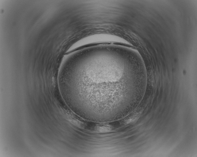 X0000068900510200605081349