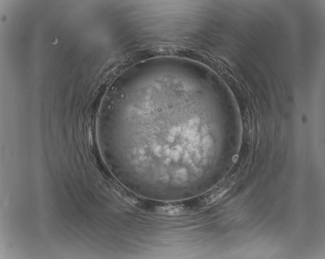 X0000068900511200605081349