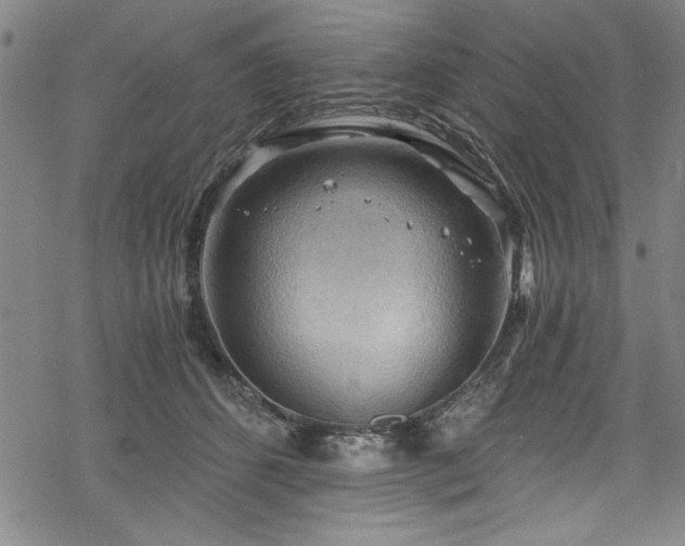 X0000068900512200605081349