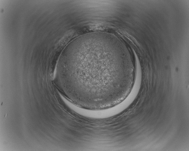 X0000068900513200605081349